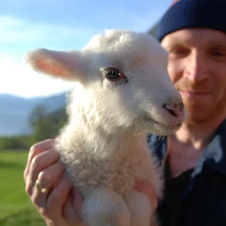 Huse Gjestegard * キンサルビク