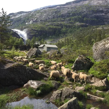 Huse Gjestegard 別荘 キンサルビク