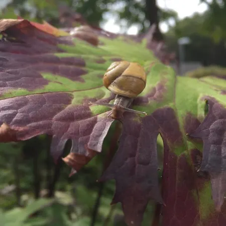 Huse Gjestegard 別荘