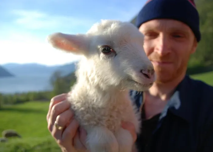 Huse Gjestegard * Кинсарвик