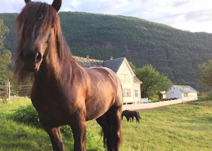 客人农家乐 度假居 *