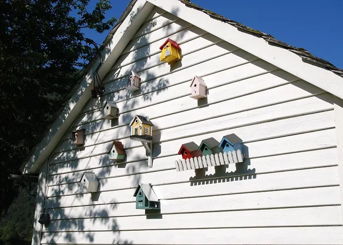 客人农家乐 度假居 *