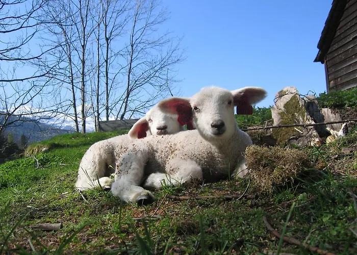 Huse Gjestegard Дом отдыха